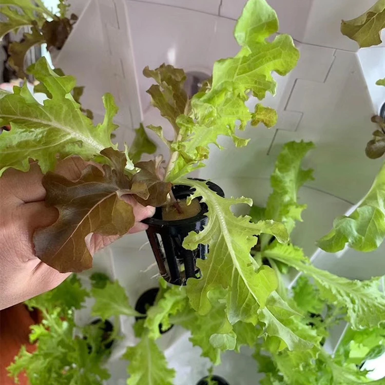Skyplant maison jardin système - Smart Garden Vertical avis et prix