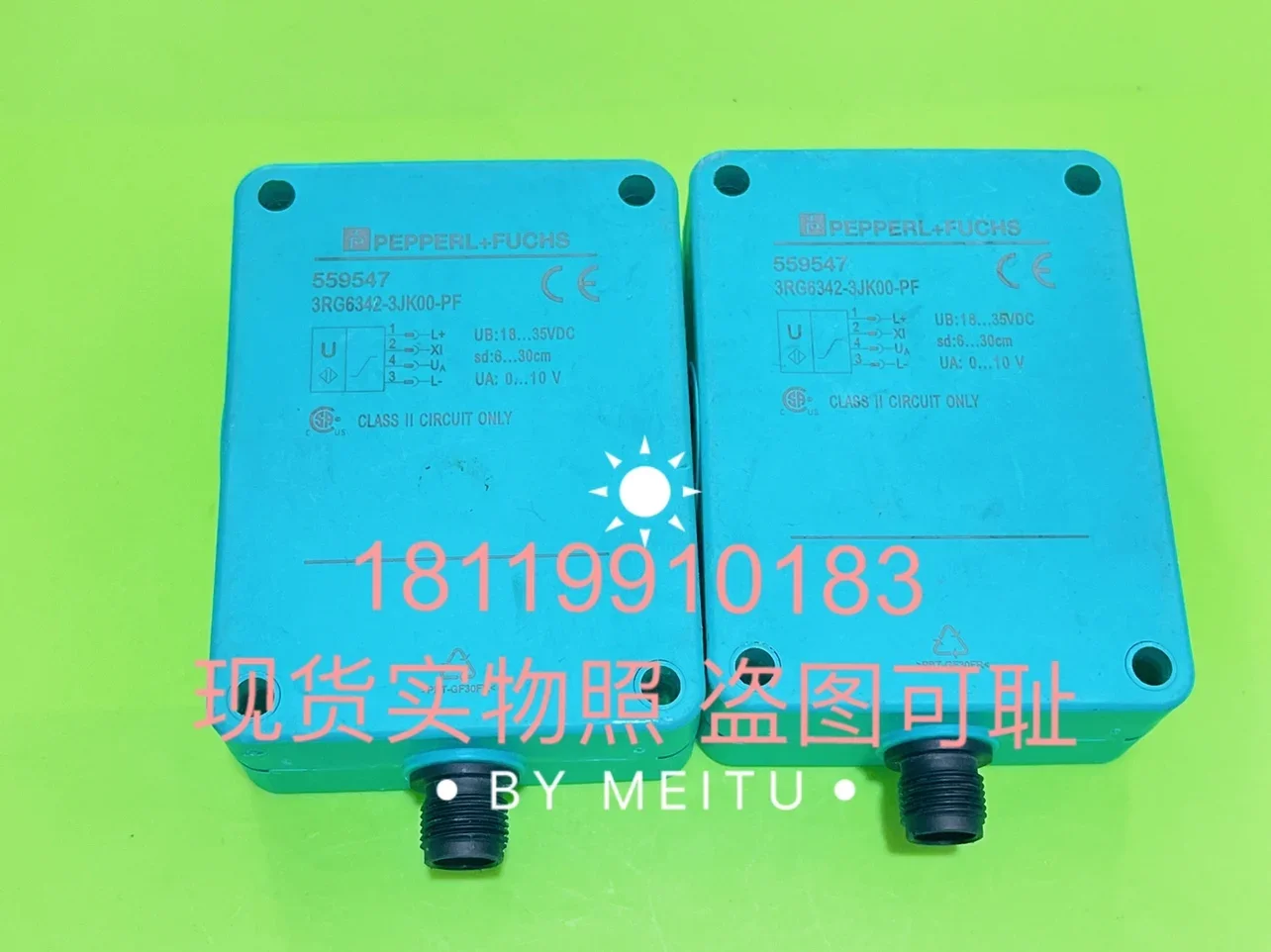 2025 The Color Of P…