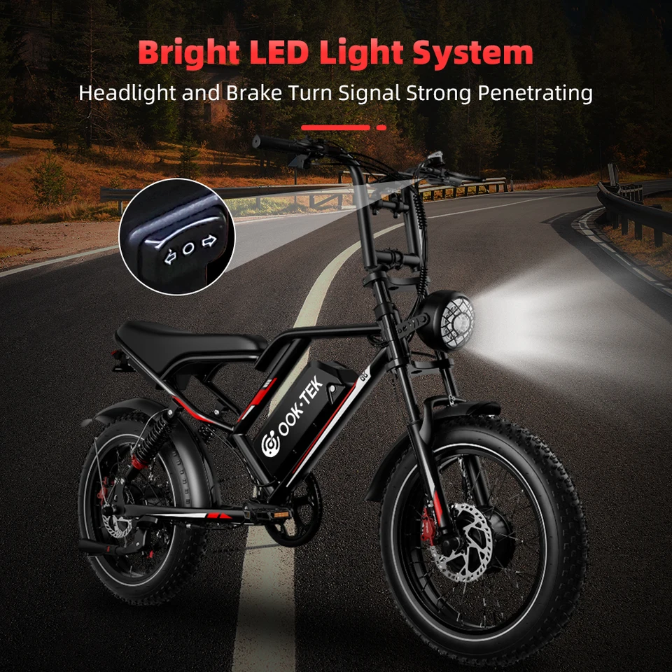 Dual Motor Electric Bike for Adults, 20" Fat Tire Ebike with 1200Wh 48V 25Ah Removable Battery, 19MPH Max Speed, 34Miles PAS Range, 35° Hill Climb, Hydraulic Brake, Dual Suspension, Aluminum Alloy Frame, LED Light, LCD Display image 4