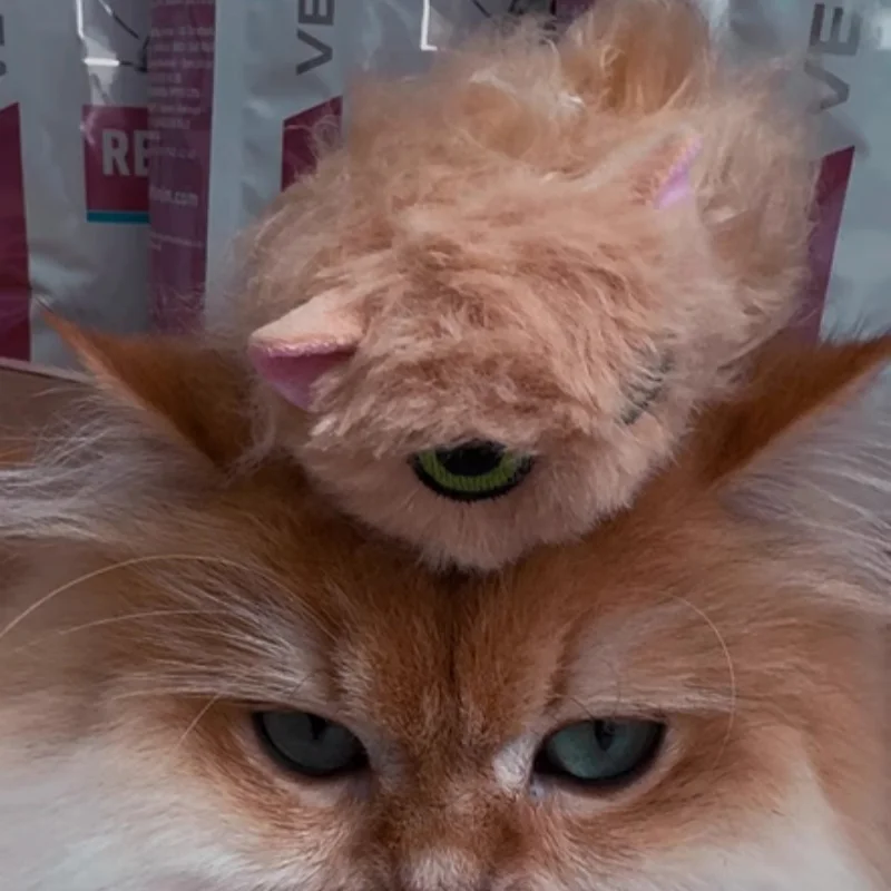 Qualia Unaffectionate Cats Doll Cute Furry Cat Ornament with Personality Japan Cat Capsule Toy Gift for Anime Fans - view 5