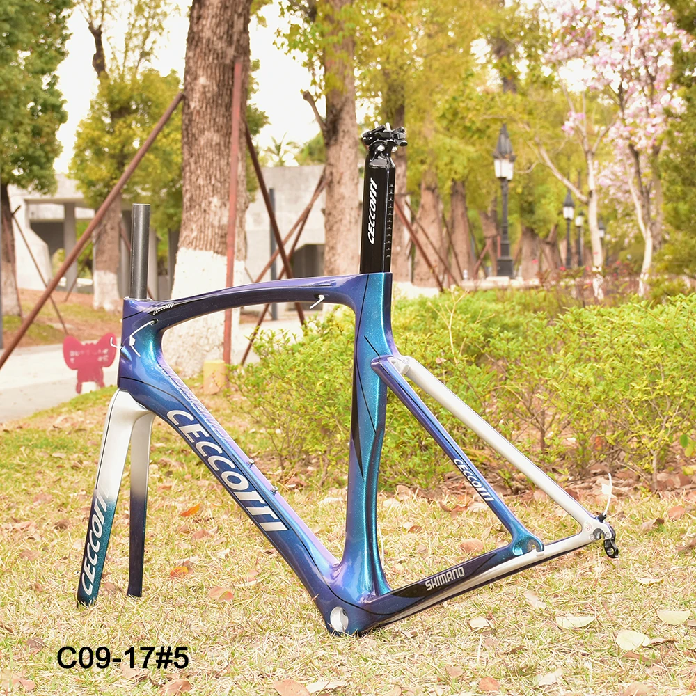 Full Carbon Road Bike Frame, CECCOTTI Factory Price Bicycle Frameset High Quality And New Design Frame