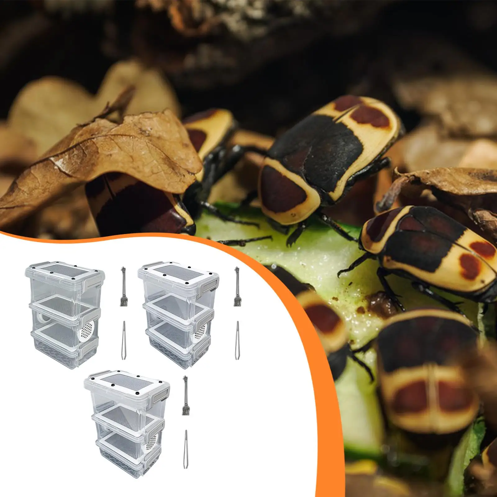 

Small Animal Transport Box with Ventilation Plastic Terrarium for Breeding Roach Mealworm Cricket Pets