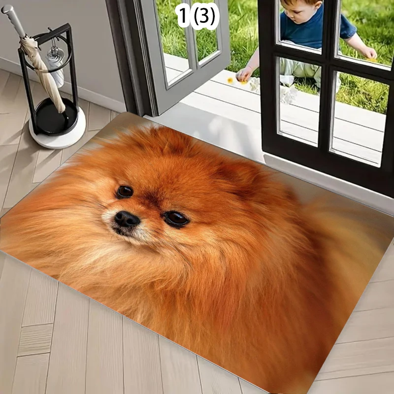 Cute Pomeranian Dog Carpet Mat Rug Home Decoration Fluffy Puppy 3D Pet Pattern Circle Floor Decor Welcome Mat Kitchen Mat