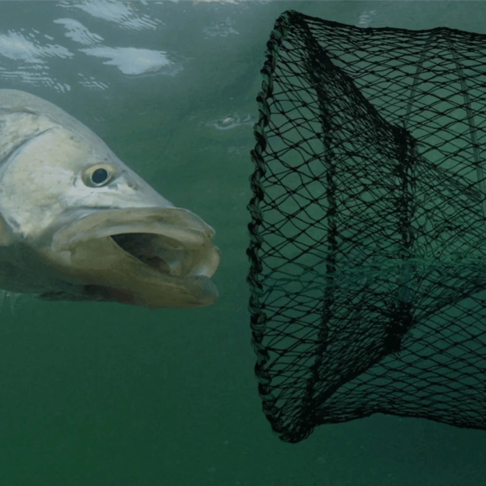 Portable Foldable Fishing Trap Net Multiple Sizes Nylon, Steel Wire Fishing Trap Black Shrimp Trap Fishing Accessories