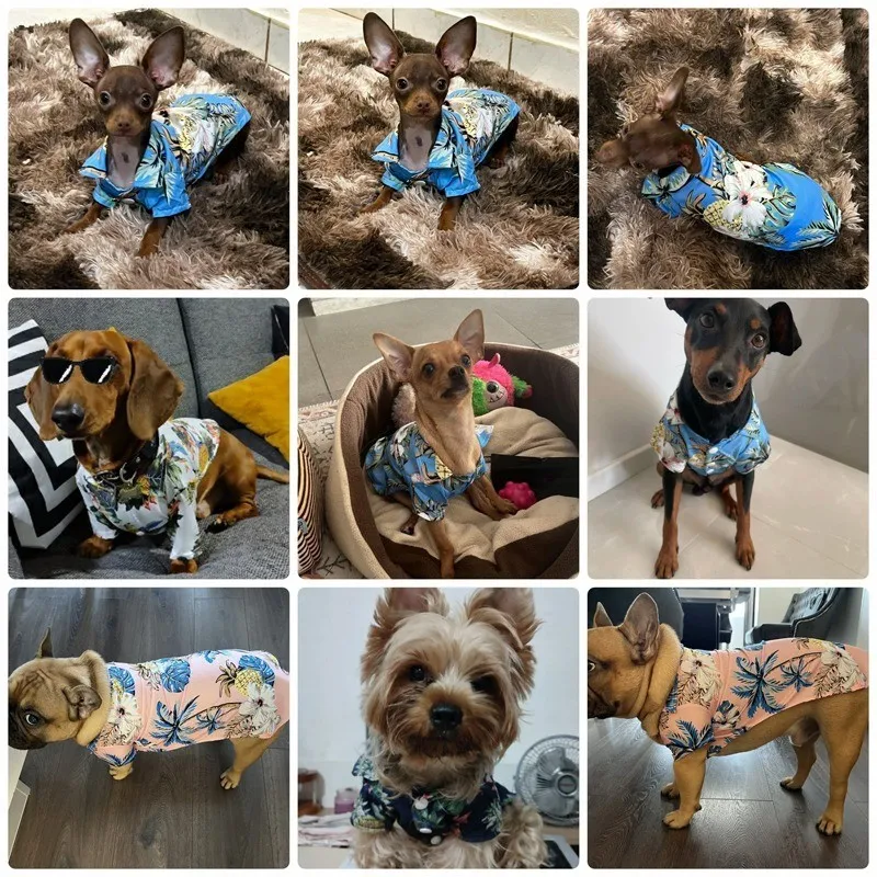 Pet Beach Pineapple Shirts Hawaiian Style Dog Cat Coat Vest Spring Summer Thin Breathable Puppy T-Shirt Clothes Fashion Costumes