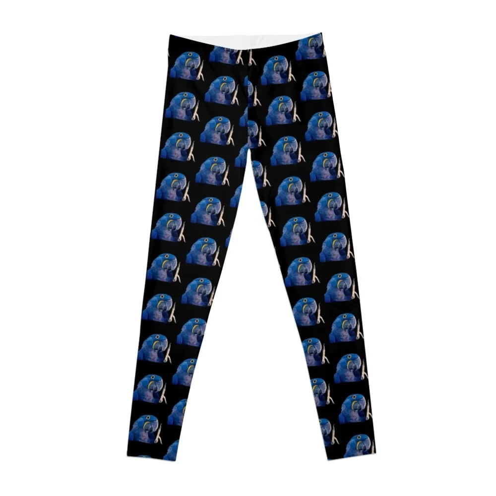 

H is for Hyacinth Macaw Leggings push up legging Sportswear woman gym jogging pants Women's trousers Womens Leggings