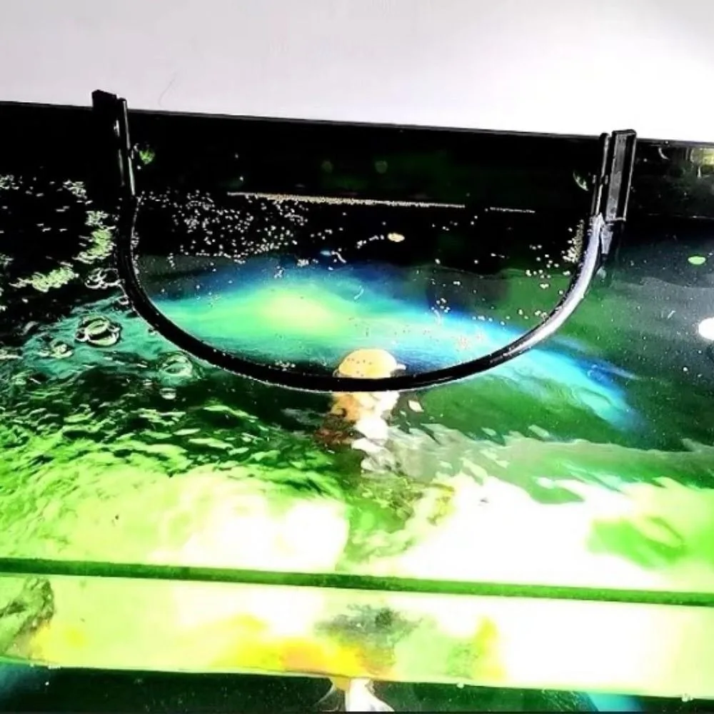 #19 Top 50 Fish Feeders Worth Buying In 2026