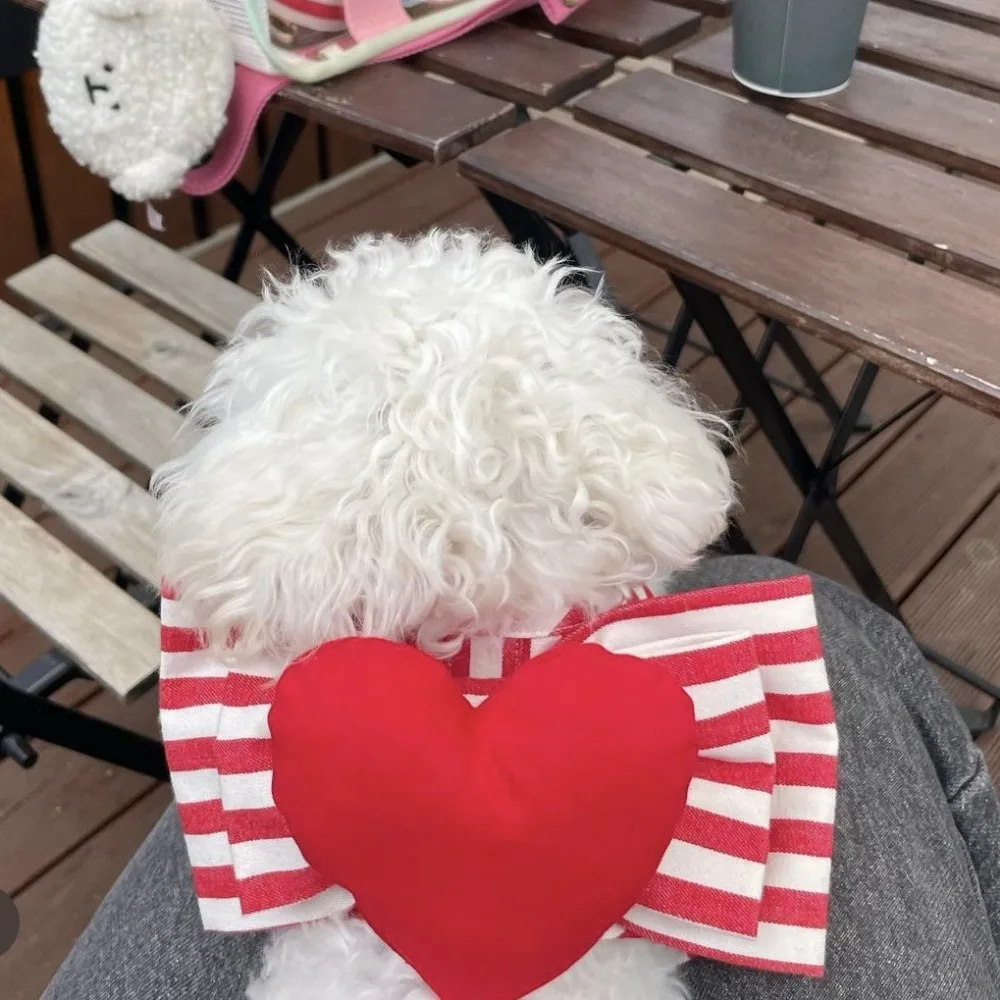 Cute Dog Harness Heart Shaped Chest Strap Dog Red Heart Stripe Set Traction Rope Chest Strap Set Maltese Walking Dog Rope Pet