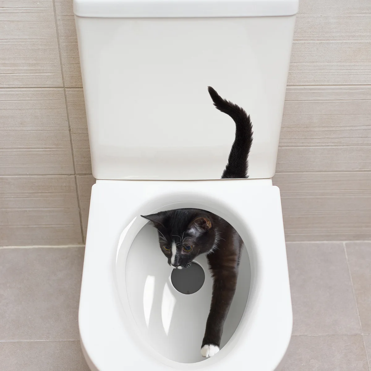 Creative Cat Toilet…