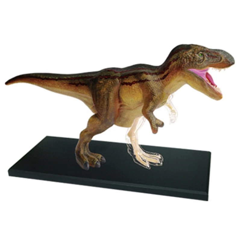 dinosaur-4d-master-puzzle-assembly-toy-animal-stegosauro-triceratops-tyrannosaurus-rex-organ-anatomy-modello-di-insegnamento-medico