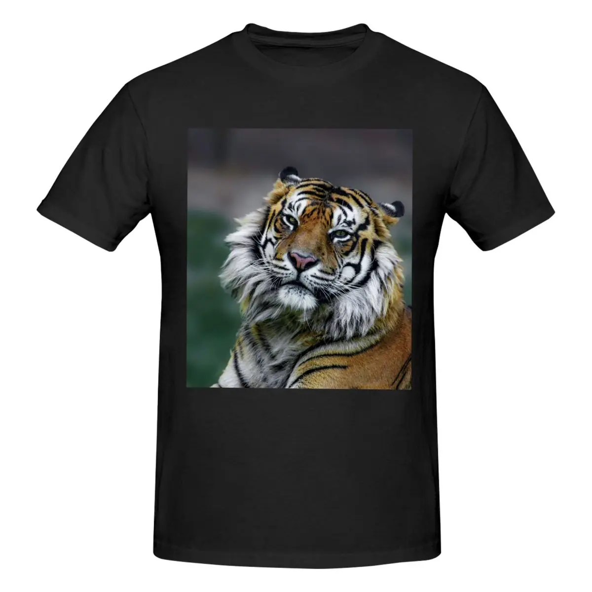 Big Cats 147 C Ben Yassa Men T-Shirt Fashion Plus Size T Shirts Men's Round Neck Cotton Tees Short Summer Male