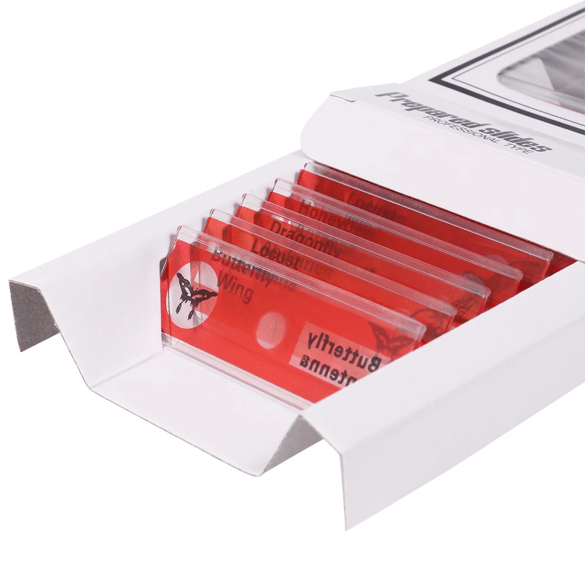 

48Pcs Kids Microscope Prepared Slides Animals Insects Plants Stereo Microscopes Safe Plastic Specimens Educational