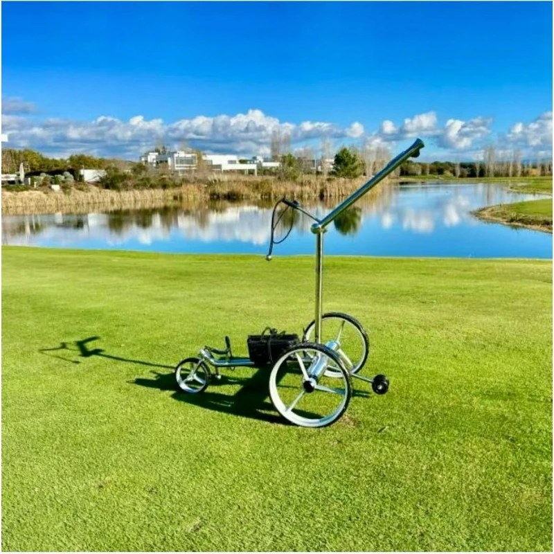 

Specialized Electric Golf Trolley Production Facility Manufacturing High Quality Motorized Carts for Golfers Worldwide