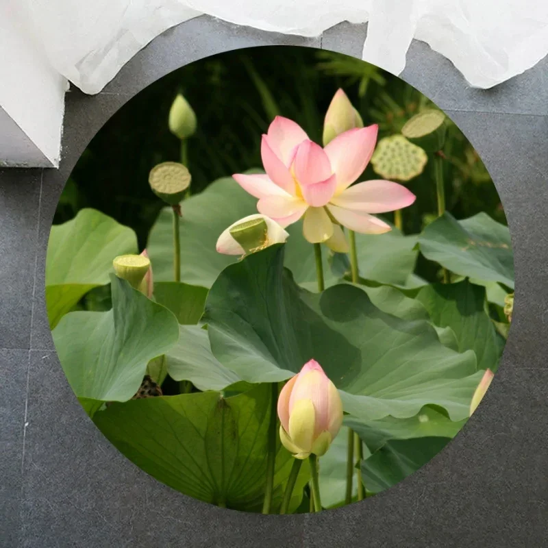 

Lotus Flower Round Rug, Soft Chenille Non-Slip Yoga Mat for Living Room, Bedroom, Home Decor, Chinese Style Retro Circle Carpet