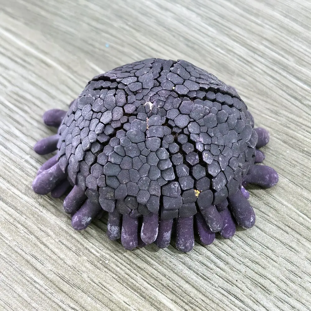 Natural Marine Sea Urchin For Zhuolangge Home Artistic Ornament Display Collectible Succulent Plant Holder Accessory