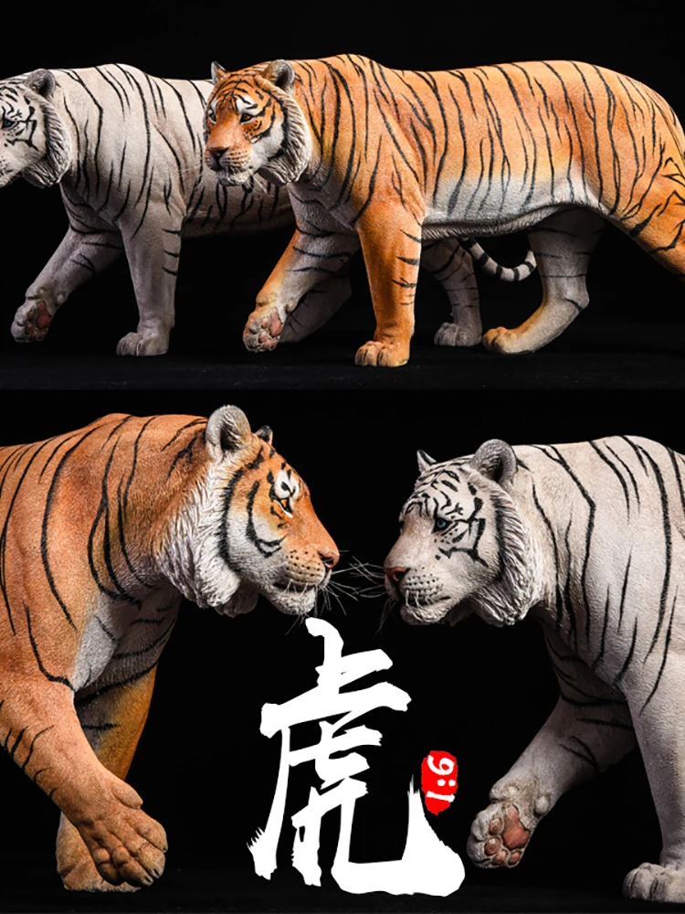 JXK JXK012 1/6 Resina Bengala Tigre Bianca Animale Simulazione Modello Statico Decorazione Giocattoli Per 12 "Action Figure Scena di Casa Ornamento