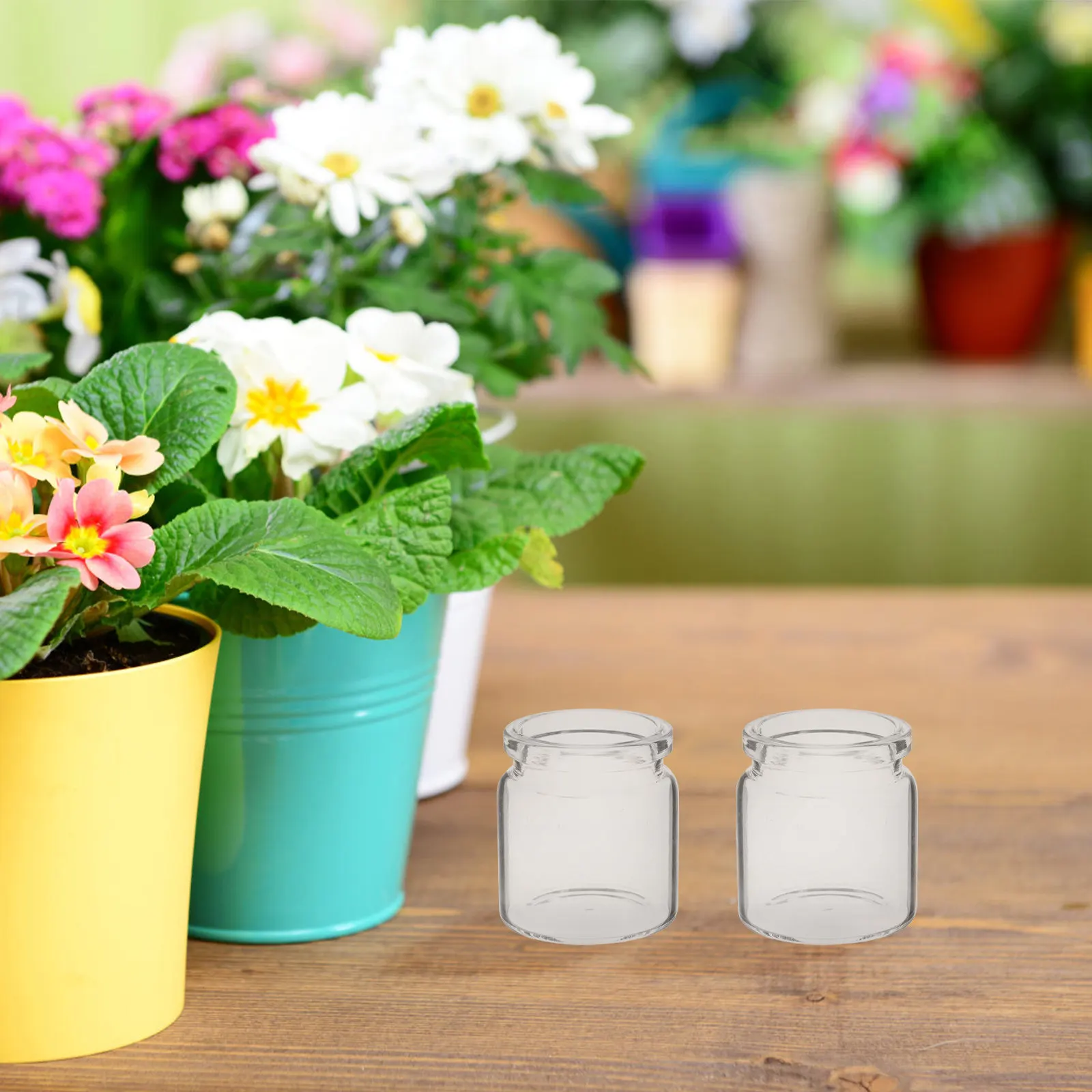 10Pcs Mini Succulent Glass Propagation Jars Micro Landscape Bottles for Office Desk Bookshelf Terrarium Plant Starter Vase Moss
