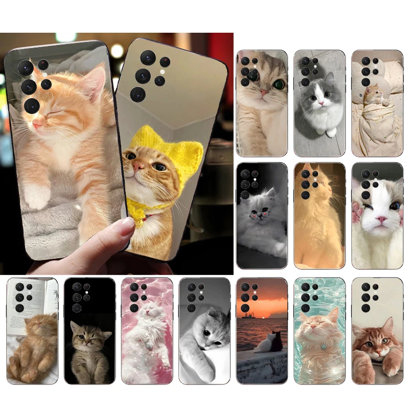 

Phone Case For Samsung Galaxy S26 S25 S24 S23 S22 S21 Ultra S24 S23 S22 S21 S25 Plus S24 FE Cute Cats