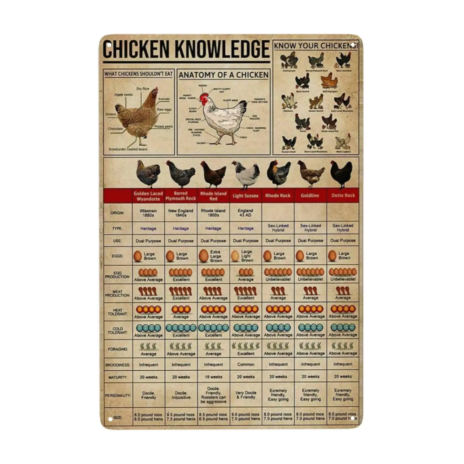 Metal Tin Signs Chicken Knowledge Detail About Chicken for Farmer for Friends Music Vintage Novelty Funny Home Bathroom Cottage