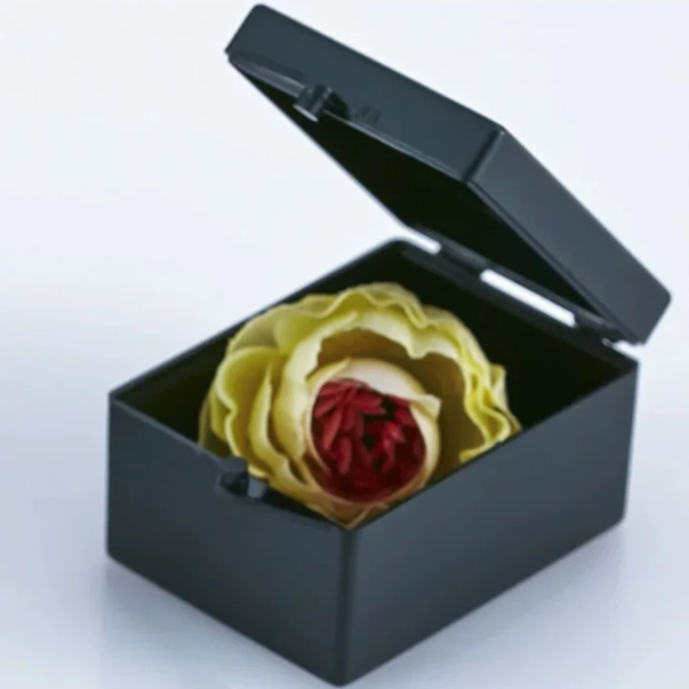 Black Rectangle Plastic Light Proof Box Suitable For Item Storage/Medical/Small Parts/Cosmetics Protective Packaging Box
