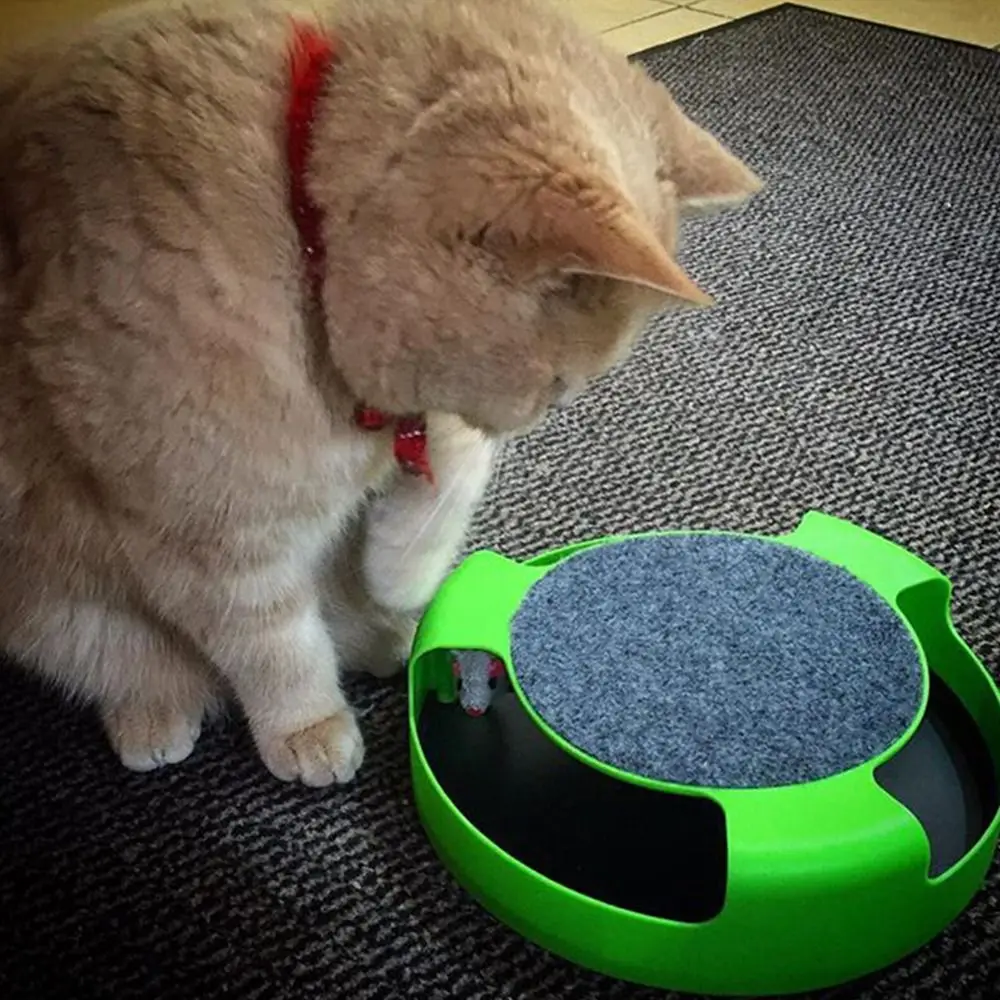 Funny Cat Toys For Indoor Cats Pet Scratching Board Turntable Catch Fake Mouse Plastic Game Cat Scratcher Cat Toy