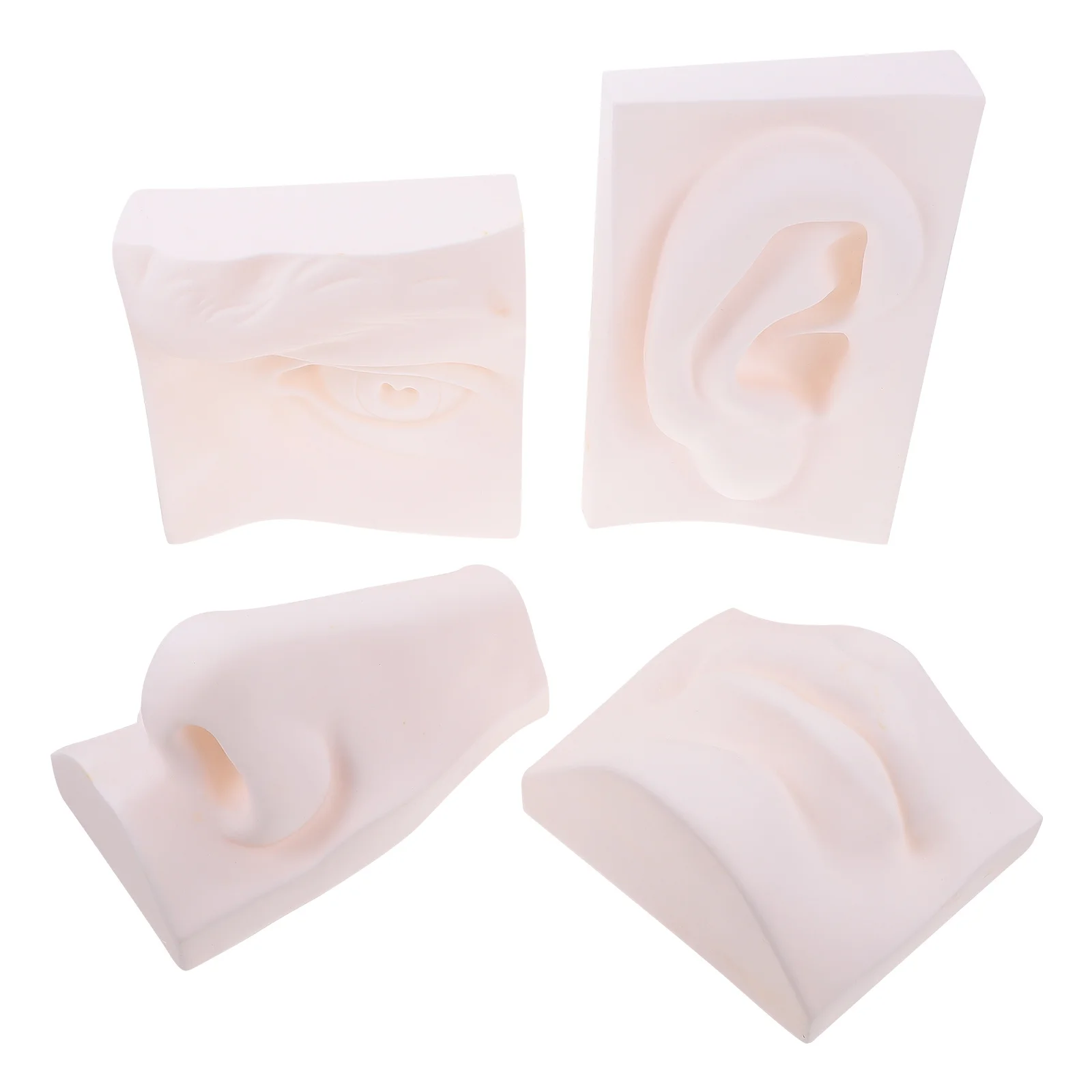 

1pc Facial Organ Teaching Aids Soft Plastic Vivid Sculpture For Sketch Painting Practice Desktop Home Office Decor Ornament