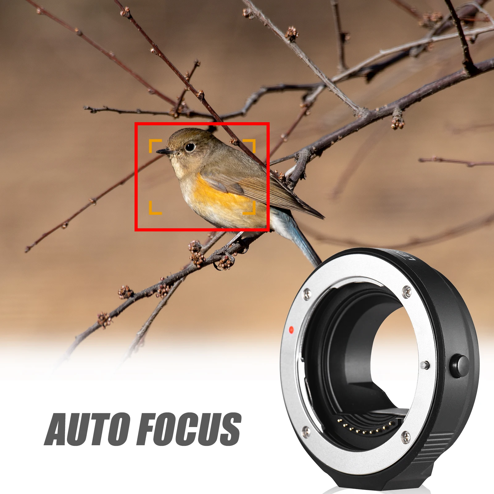 FOTGA OEM4/3(AF) 4/3 to M4/3 Camera Adapter Ring Auto Focus Lens Mount for Olympus 4/3 Mount Lens to G1 G2 G10 GF1 GF2 GF3