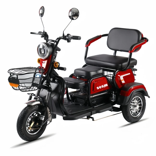 

Electric Tricycle Passenger Dirt Bike EV 3-wheel Motorcycle Moto Motocross For Adults Motorized Driving High Edition 600W 48V