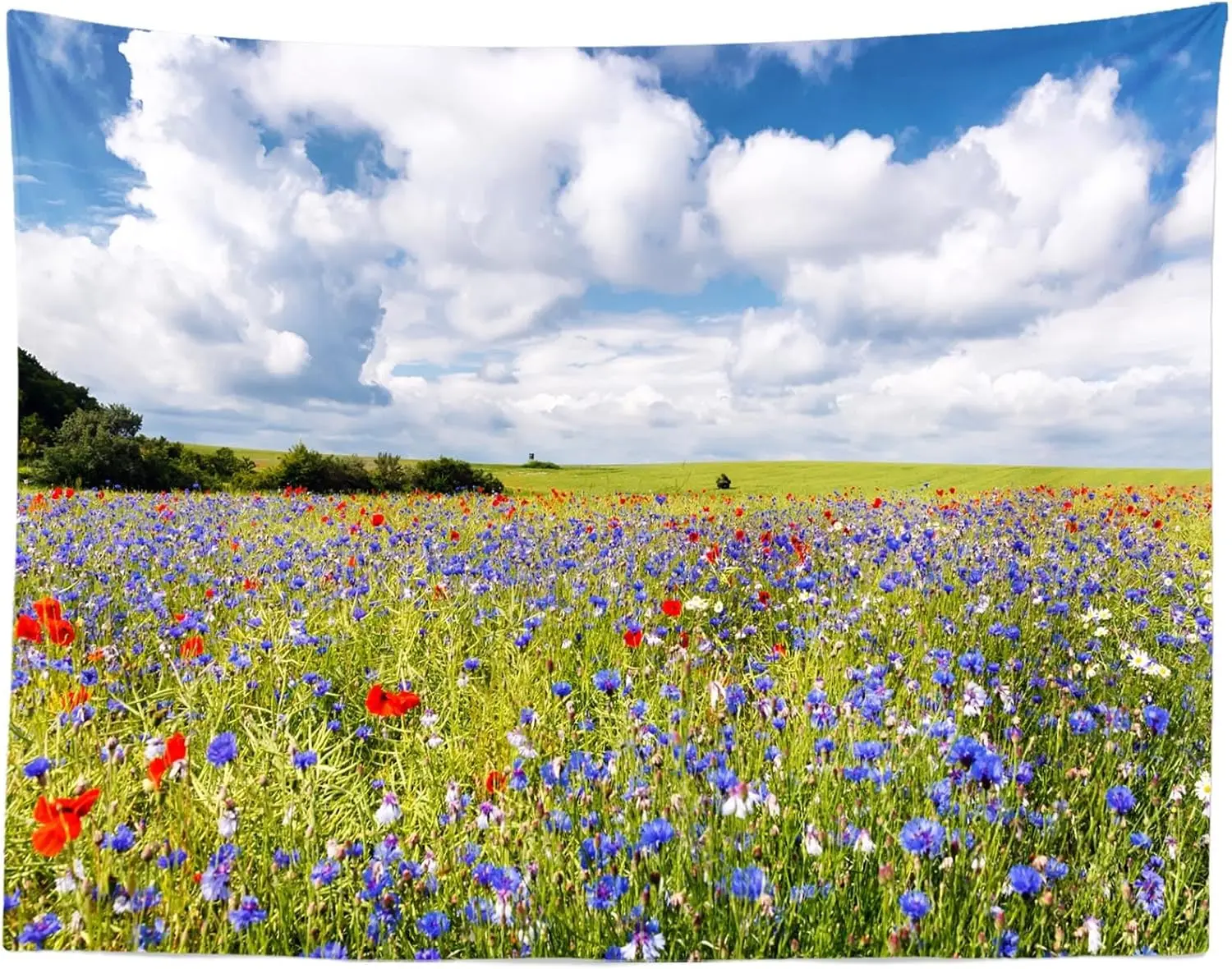 Wildflower Meadow Tapestry, Blue Cornflower Red Poppy Green Field Cloud Sky Nature Print Wall Cloth,Fresh Decor For Bedroom Home