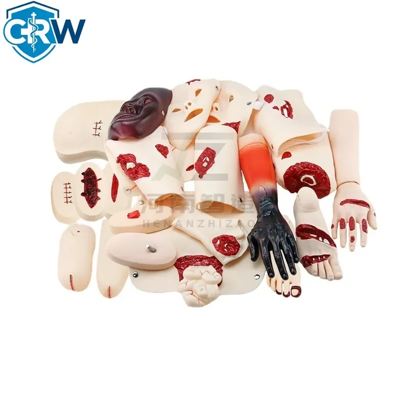 CRW Bestselling Zhizao Medical Science Trauma Caring Assessment Modules With 20 Parts Trauma Caring EvaluationModules