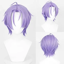 RANYU NU carnival Kuya Wig Synthetic Men Short Long Straight Purple Game Cosplay Fluffy Heat Resistant Hair Wig for Party