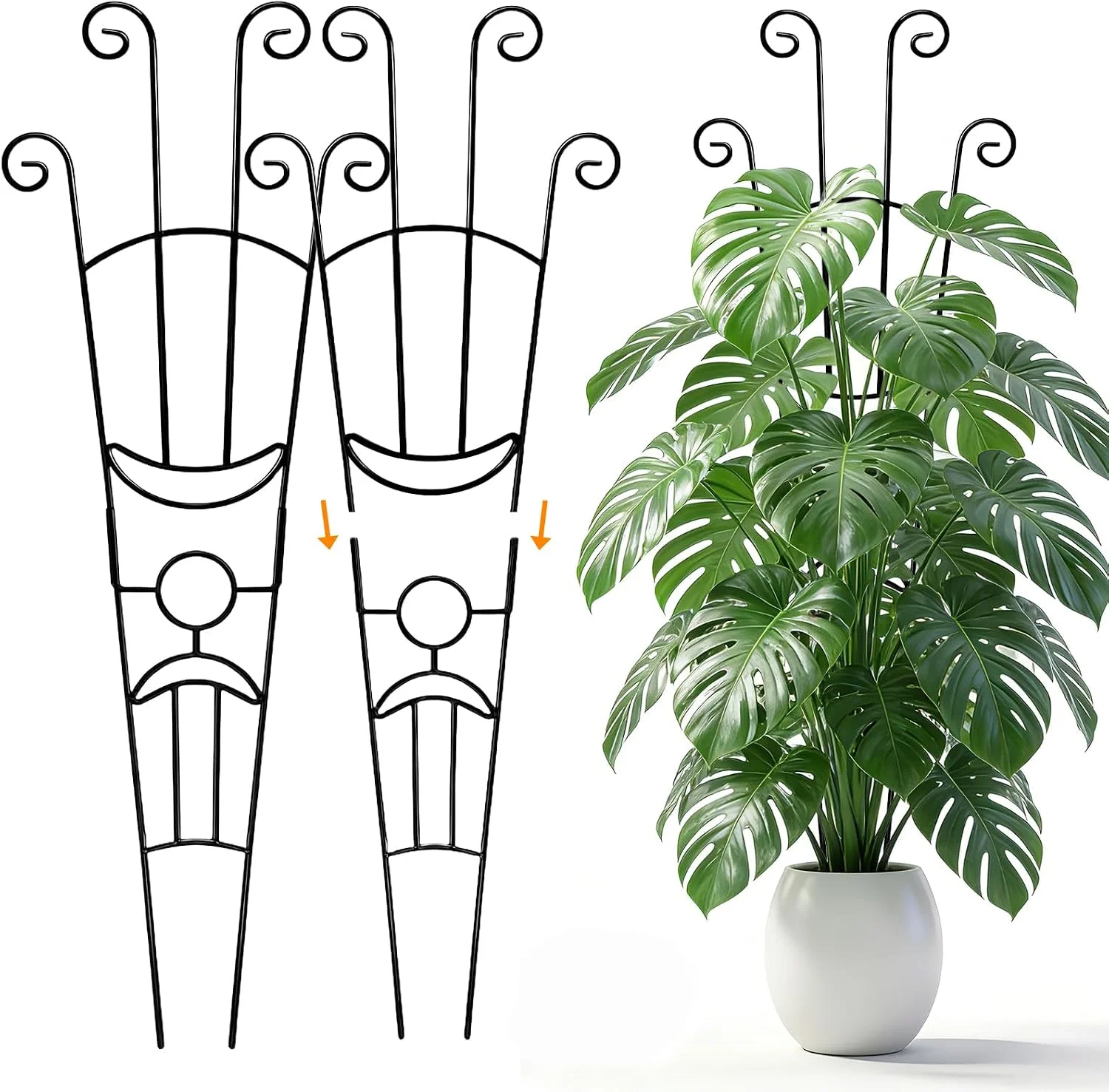 Monstera Plant Support Tall Trellis with 2 Pack Plant Stakes for Your Large Climbing Monstera Deliciosa Indoor Plant Climbing Frame for Potted Growth