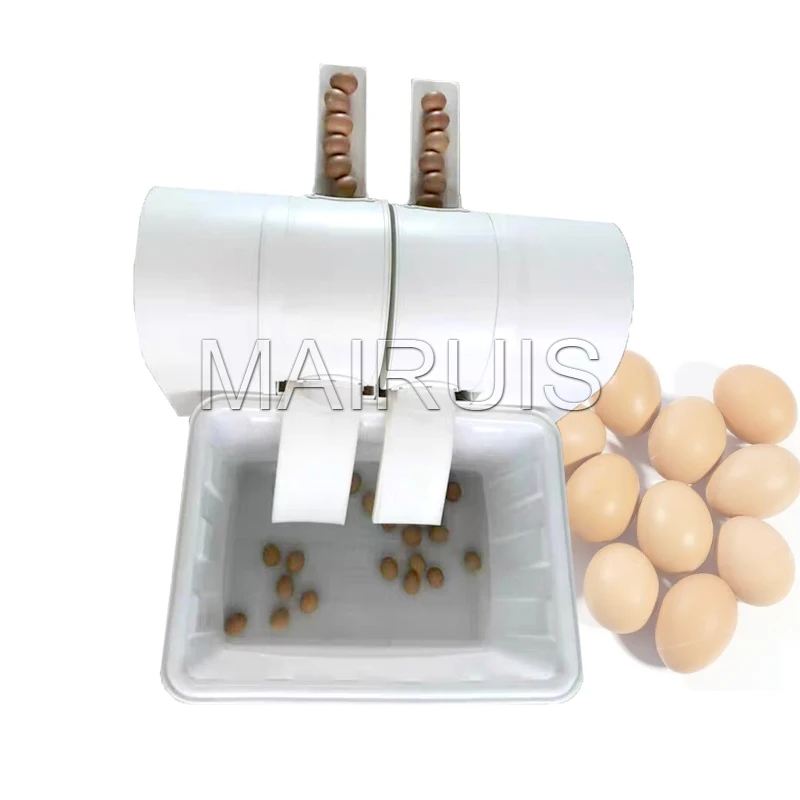 Single Row Commercial Automatic Egg Cleaning Machine Small Egg Cleaning Machine Chicken Duck Goose Egg Cleaning Machine