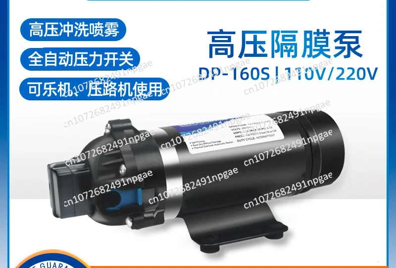 220V110V Spray Diaphragm Pump Roller Coke Machine Booster Pump Agricultural Irrigation Water Pump