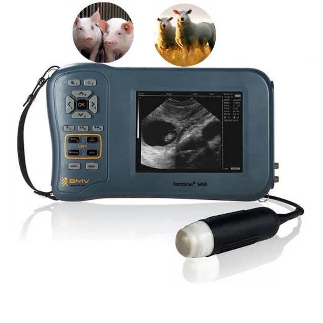 Sheep veterinary ultrasound scanner ecografo bmv farmscan m50 l60 ultrasonido portatil veterinary ultrasound