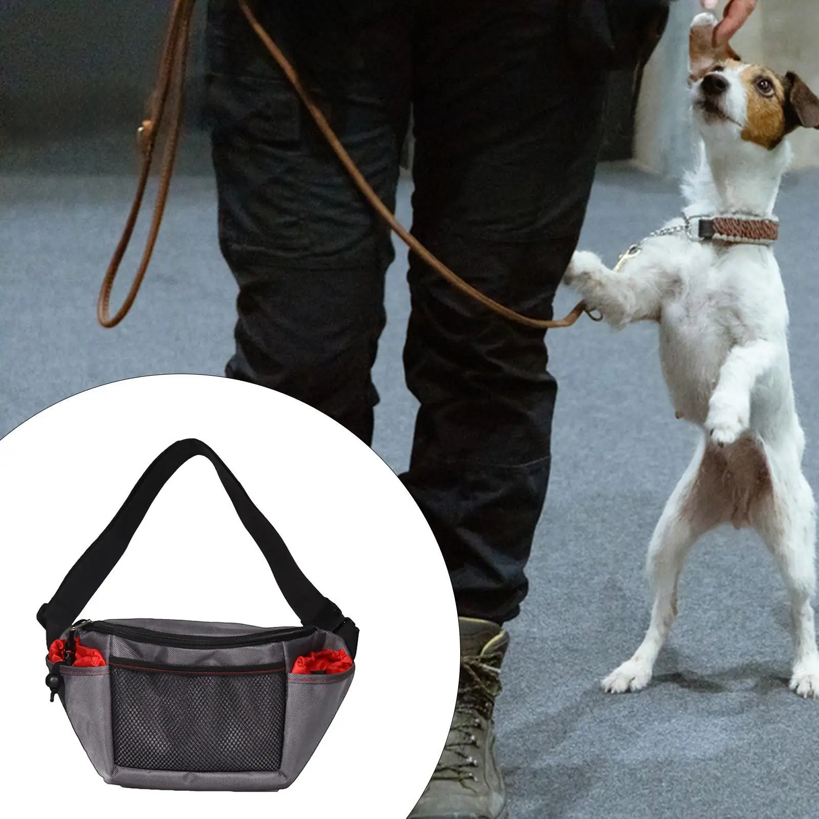

Dog Treat Pouch Pet Training Bag Portable Container Zipper Puppy Treat Bag