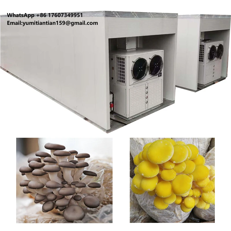 Large Mushroom Grow Room Shipping Container Farm Multi-Span Agricultural Greenhouse  Smart Farming System