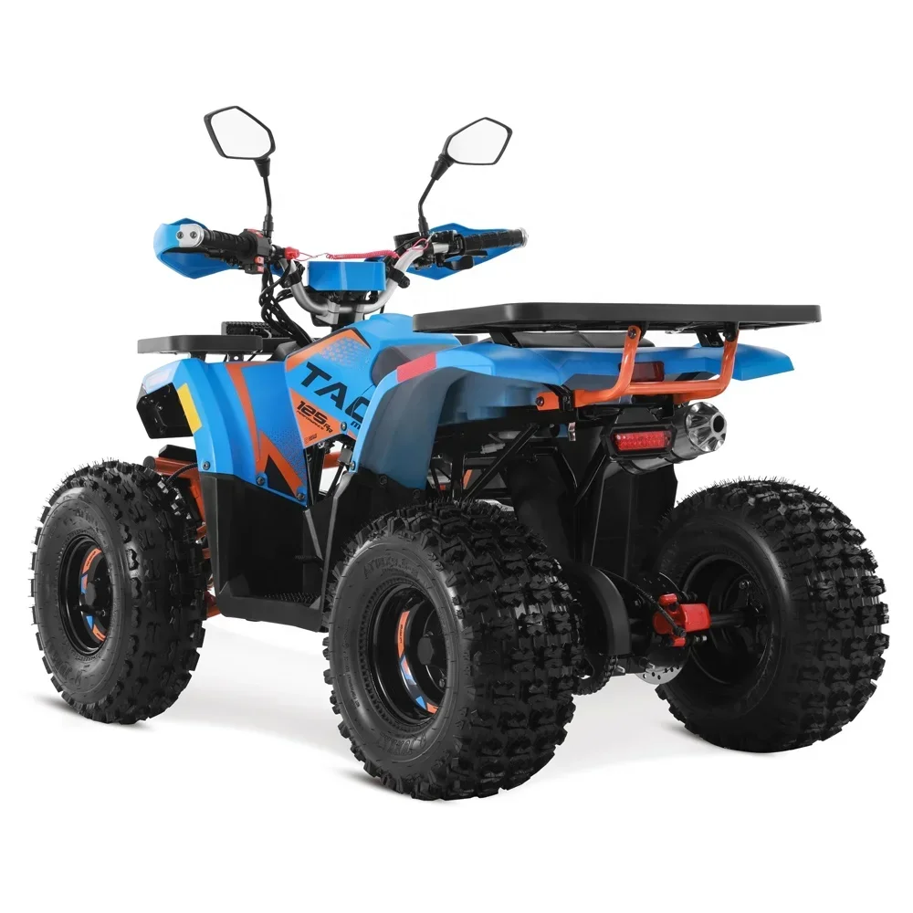 2024 สตาร์ทไฟฟ้าฟาร์มราคาถูก Quad Bike เครื่องยนต์ 4 จังหวะอัตโนมัติ 125cc ATV สําหรับเด็ก