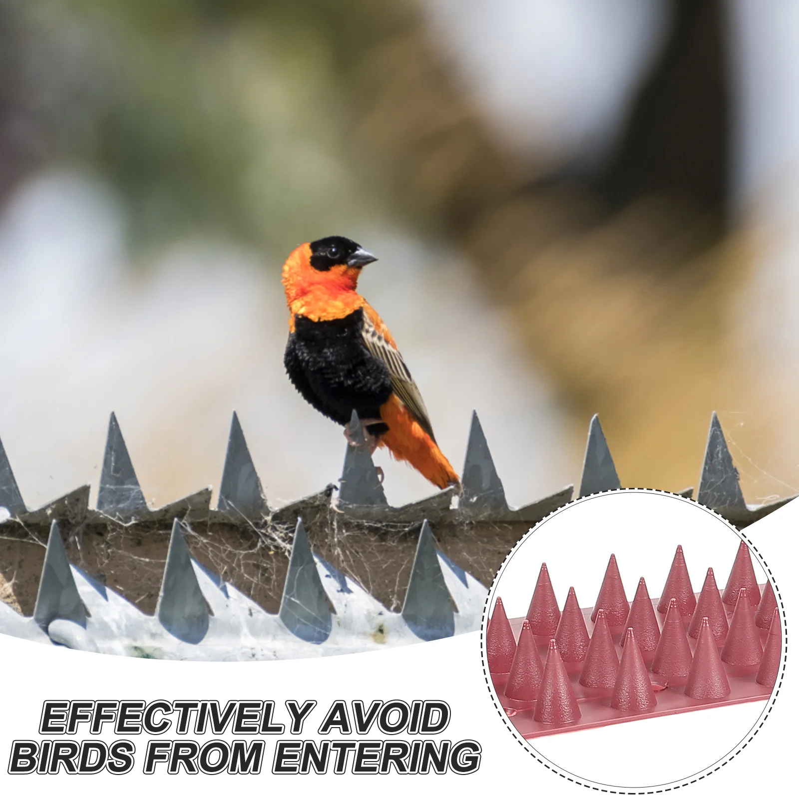 

6pcs Plastic Bird Spikes for Pigeons Small Birds Squirrels Deterrent Anti Climb Fence Lawn Garden Reusable Wide Strips