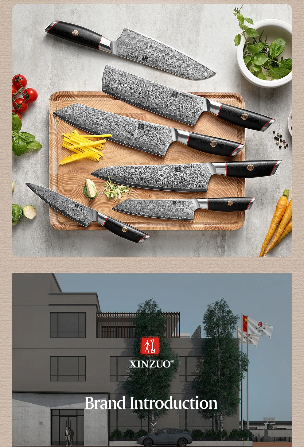 XINZUO 5,8 Zoll Bunka Messer 67 Lagen Damaszener Stahl 10Cr15CoMoV Kern 60 HRC Carbonfaser G10 Griff – Detail 12