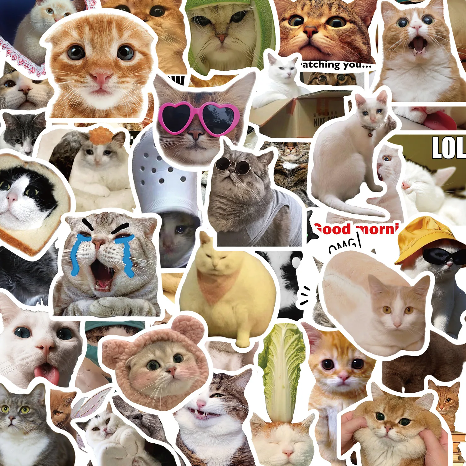 

50 шт., забавные наклейки с изображением кота, эмодзи, хлеб, кошка и мистер, свежие наклейки, наклейки с изображением кота, сделай сам, декоративные милые мультяшные наклейки