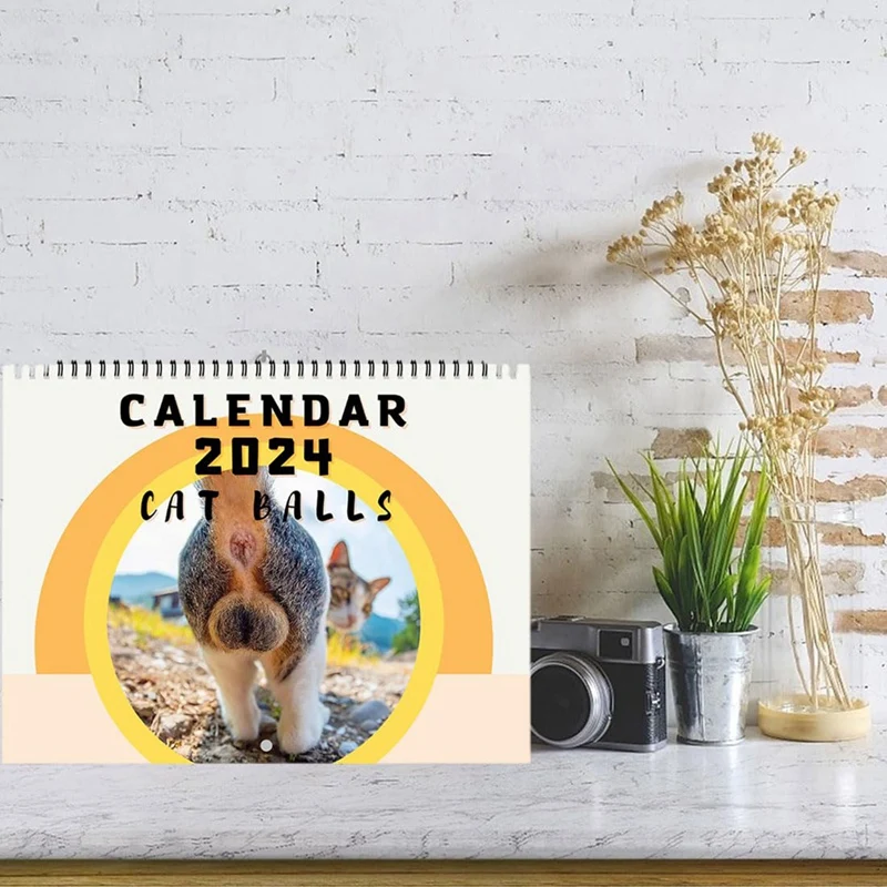 面白い猫ブタンスルカレンダー、25x19cm、12か月の猫のボール、2024