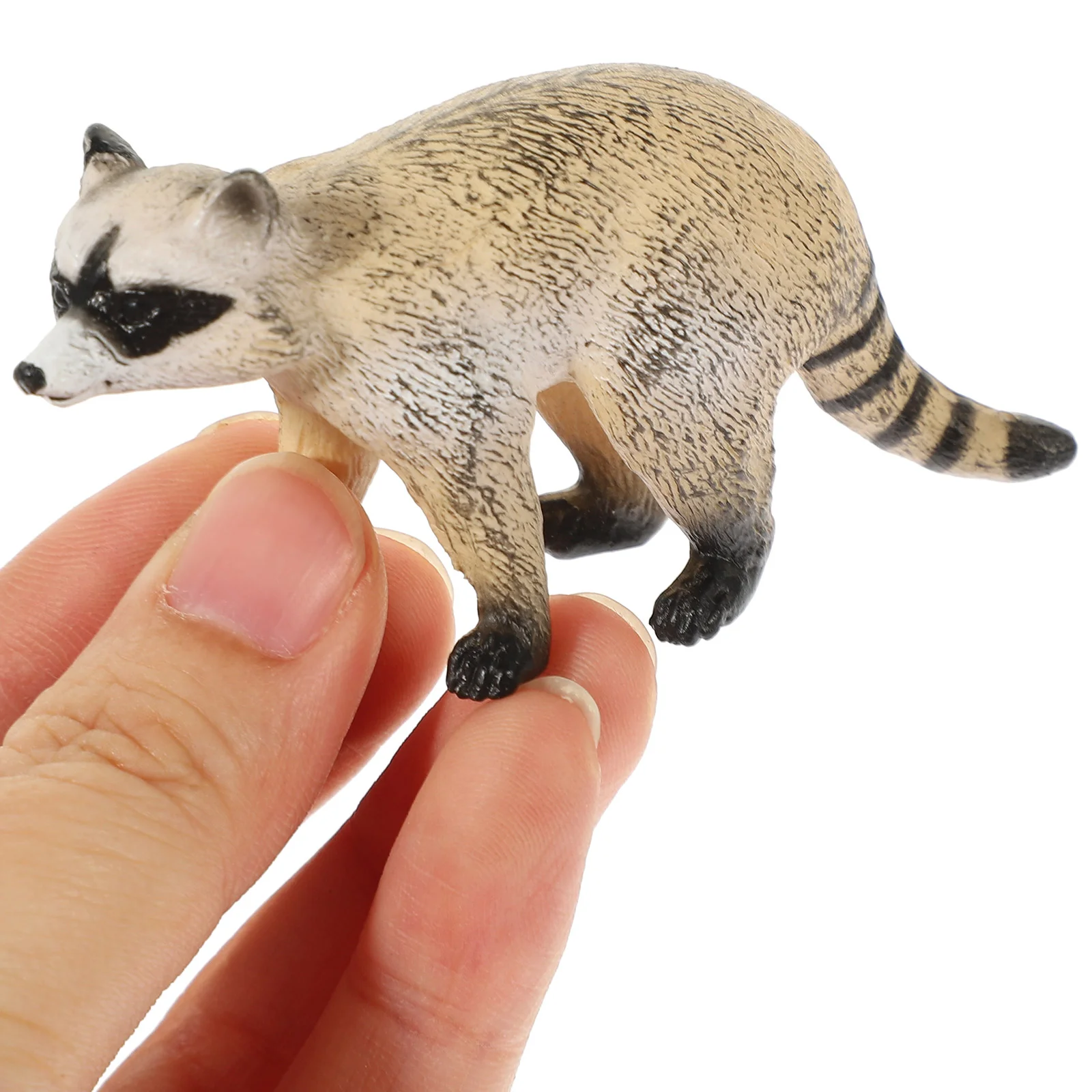 Household Science and Education Simulation Wildlife Model Raccoon Cognitive Ornaments Child Toy Figurines Plastic