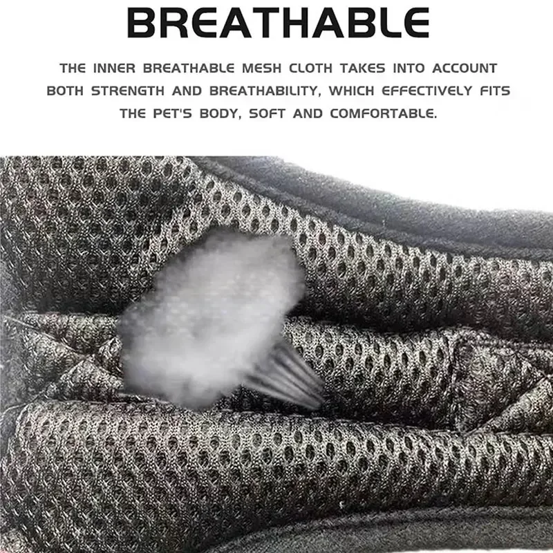 الكلب تسخير المقود مجموعة قابل للتعديل حزام الصدر للحيوانات الأليفة للكلاب المتوسطة الصغيرة في الهواء الطلق الكلب المشي حزام الصدر مستلزمات الحيوانات الأليفة