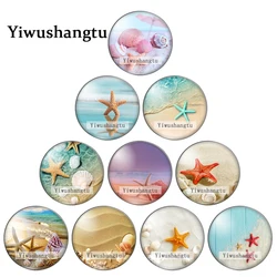 Cute Starfish Shell Art marine animal Paintings 12mm/18mm/20mm/25mm Round photo glass cabochon demo flat back Making findings