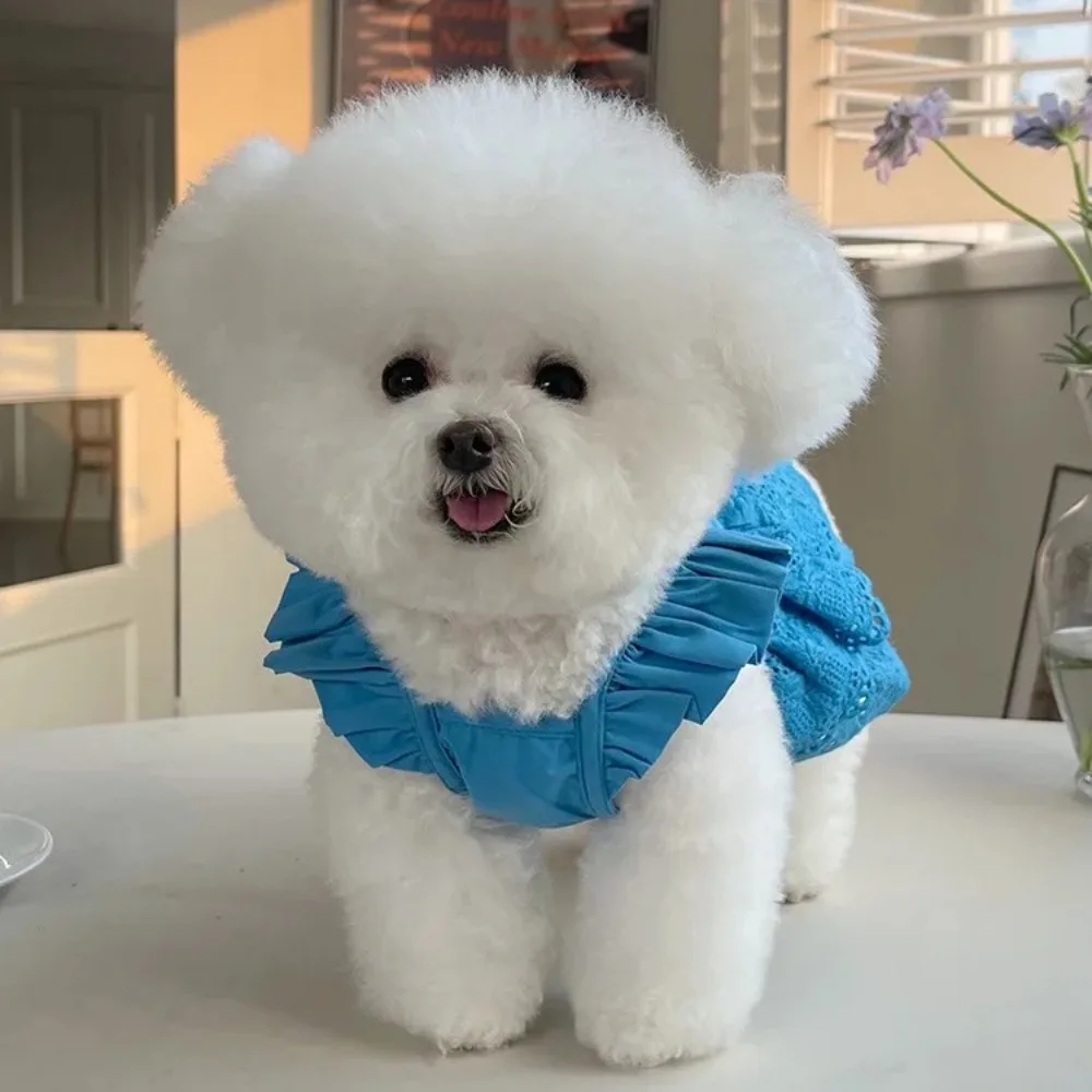 Pet Clothing Spring and Summer New Fly Sleeved Lace Dress Teddy Bear Dog Cat Thin Traction Clothing Dog Clothes for Small Dogs