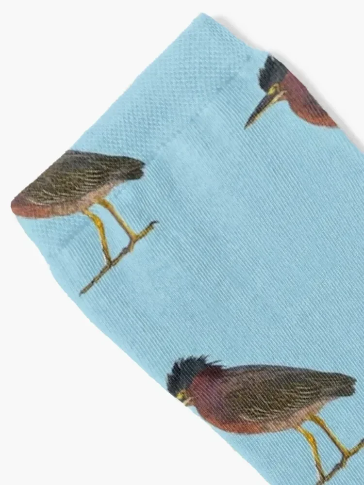 Green Heron Color Print Socks man Argentina with print gifts Man Socks Women's