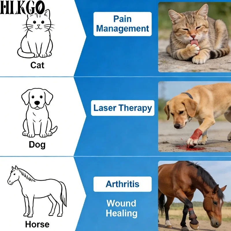 Advanced Technology 1295mW Pet Laser,19+6 Diodes 650808nm for Canine Degenerative Myelopathy Feline Dental Disease Equine Tendon