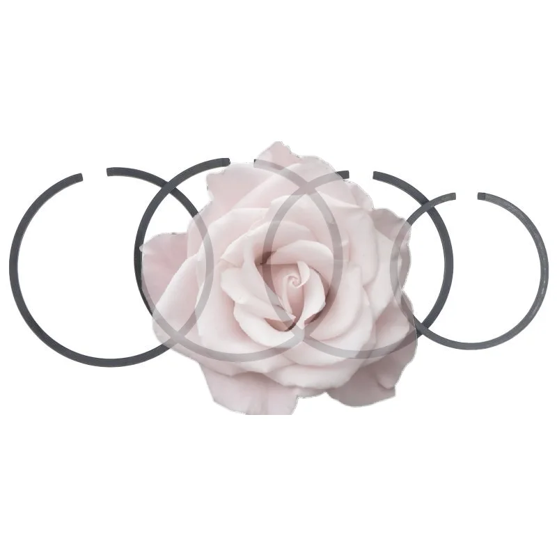 Popular 2Pcs Premium Carbon Steel Piston Rings High Wear Resistance Replacement for Chainsaws Grass Trimmers