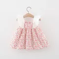 1454 Pink